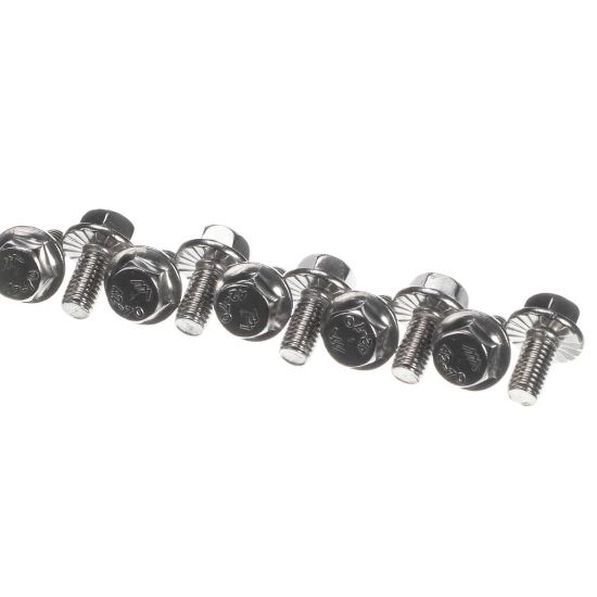 Picture of Rational 10.01.214P Interlocking Tooth Screw M5x10