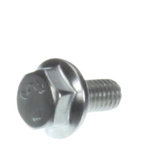 Picture of Rational 10.01.719P Hex Screw M6x12