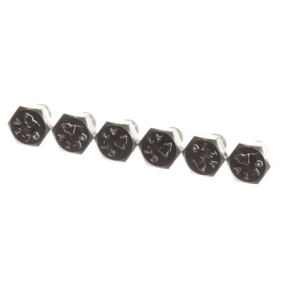 Picture of Rational 1008.0762P Hex Screw M8x10 A2