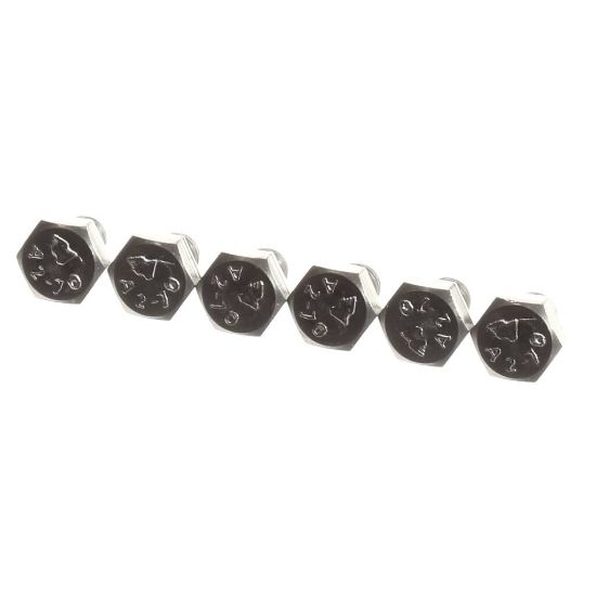 Picture of Rational 1008.0762P Hex Screw M8x10 A2