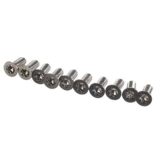 Picture of Rational 1006.1962P Countersunk Screw Torx M6x16