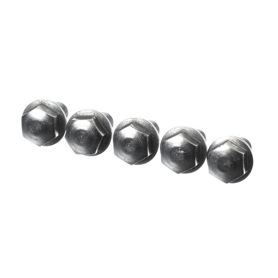 Picture of Rational 1008.0768P Ornamental Screw M8x16