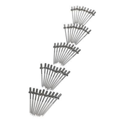 Picture of Rational 1603.0166 Rivet 32X79 Cns Closed