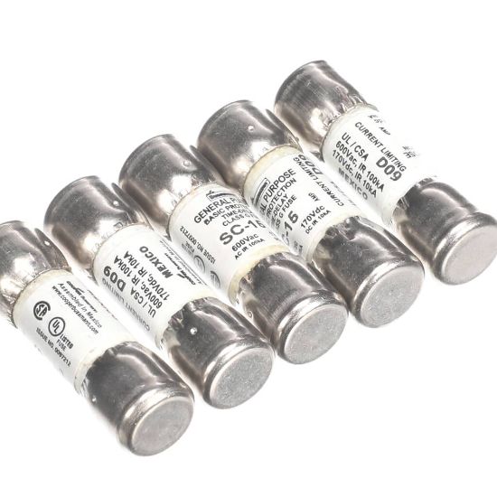 Picture of Rational 40.01.873P Fuse Sc-15a 10X38 (Pack Of 10)