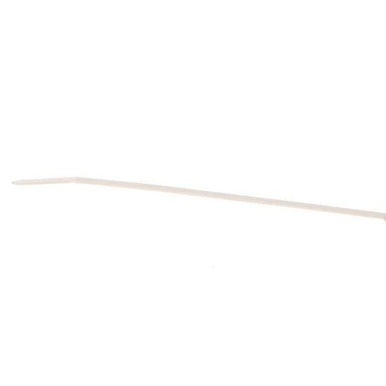 Picture of Rational 4005.0101P Tie Rap 145 Mm