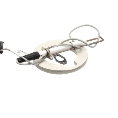 Picture of Rational 87.00.663 Ignition Electrode Kit For Steam Generat