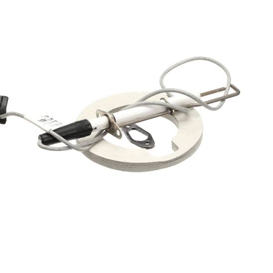 Picture of Rational 87.00.663 Ignition Electrode Kit For Steam Generat