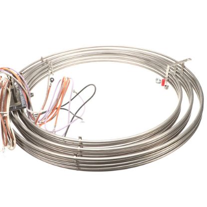 Picture of Rational 87.01.074 Heating Assembly With Gasket