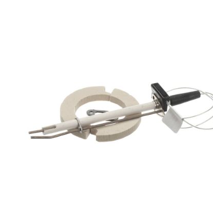 Picture of Rational 87.01.346 Ignition Electrode Kit For Steam Generat