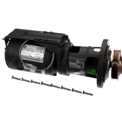Picture of Raypak 004844F Pump Assembly