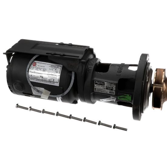 Picture of Raypak 004844F Pump Assembly