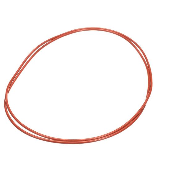 Picture of Raypak 006713F Oring Kit