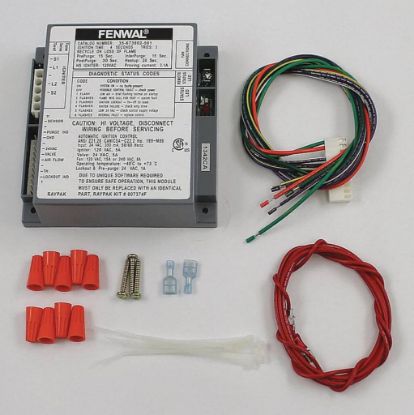 Picture of Raypak 007374F Ignition Module