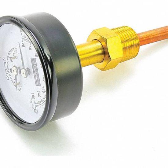 Picture of Raypak 007399F Temp/pressure Gauge