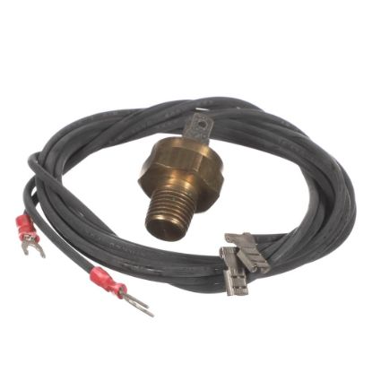 Picture of Raypak 600893B Hi Limit 44T31