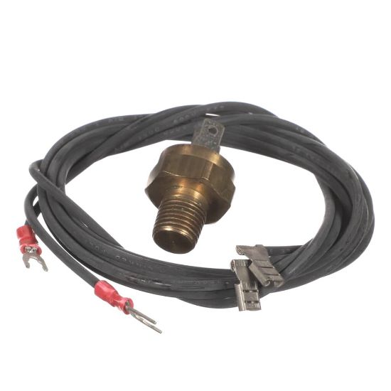 Picture of Raypak 600893B Hi Limit 44T31