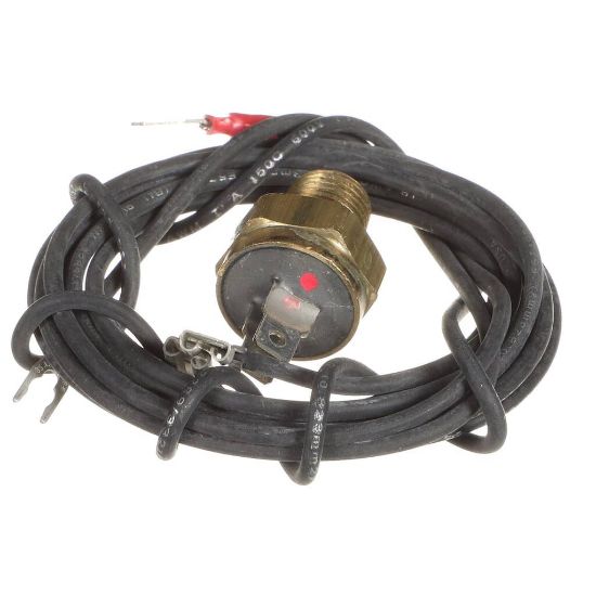 Picture of Raypak 600892B Hi Limit 44Tg31