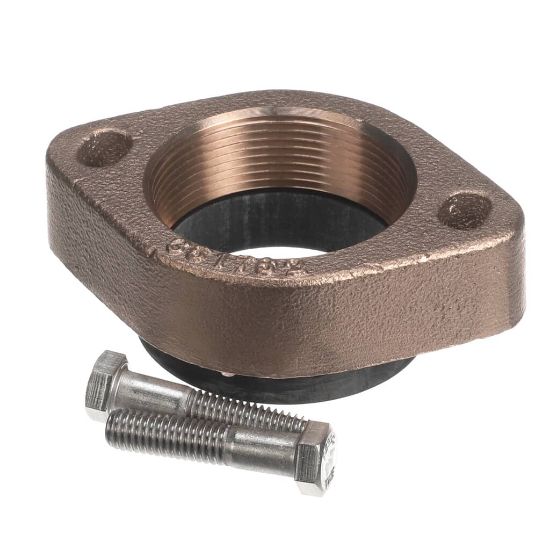 Picture of Raypak 013812F Flange In/out Br1-1/2 & 2-Kit