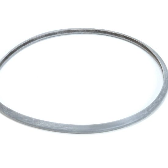 Picture of Robot Coupe 39756 Lid Seal Blixer 3D
