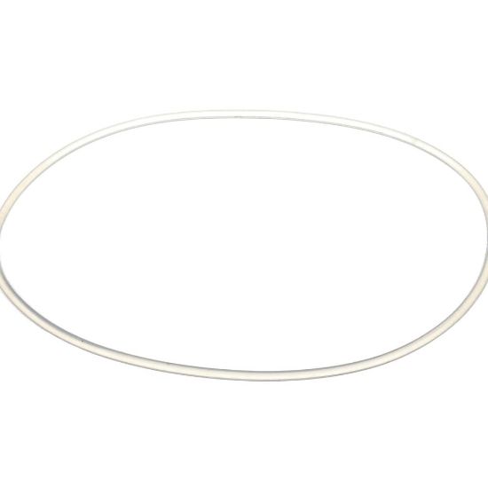 Picture of Robot Coupe 502443 C80a Bowl Seal 200X4