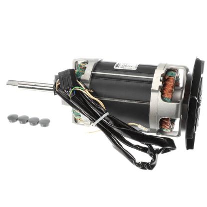 Picture of Robot Coupe 59371 R15e 60Hz Motor Assembly.