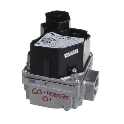 Picture of Rheem 60-106075-01 Gas Valve