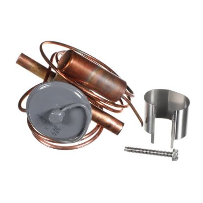 Picture of Rheem 61-106239-07 Expansion Valve (Txv)