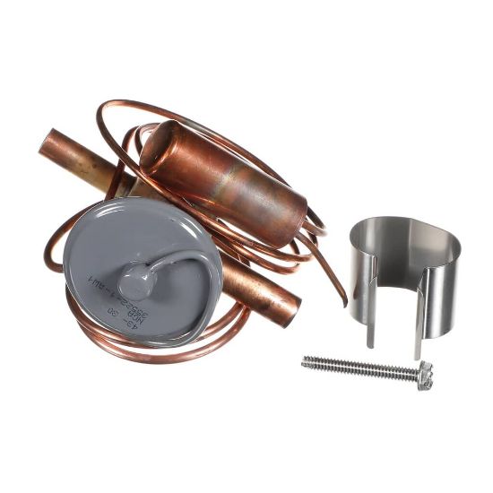 Picture of Rheem 61-106239-07 Expansion Valve (Txv)
