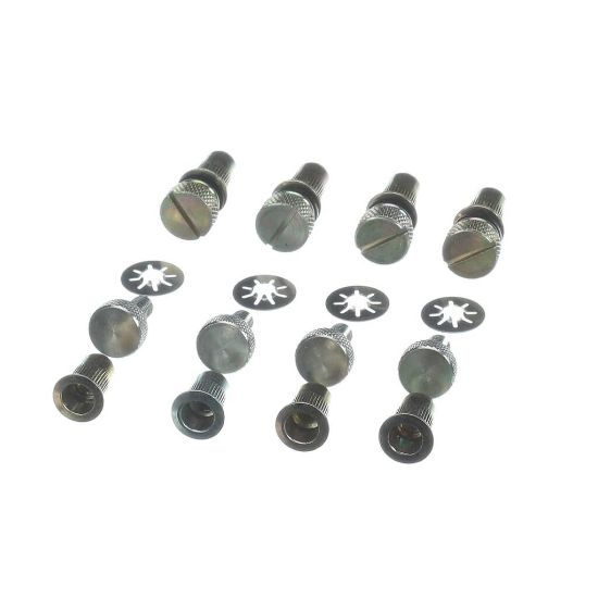 Picture of Rheem 64-24081-81 Furnace Door Insert/thumbscrew Kit