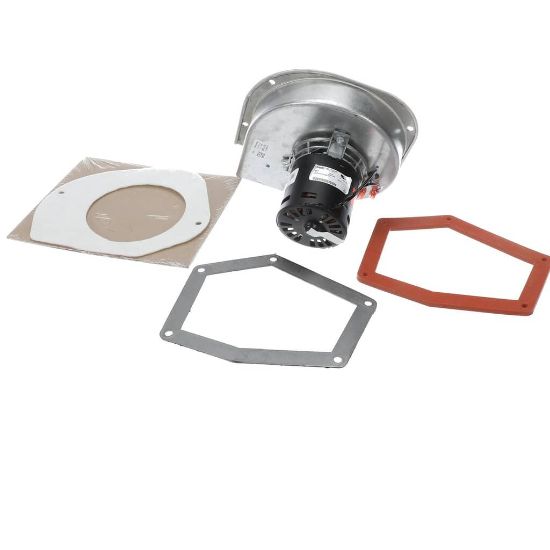 Picture of Rheem 70-23641-92 Induced Draft Blower W/gasket