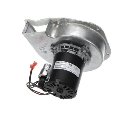 Picture of Rheem 70-106080-01 Induced Draft Blower W/gasket