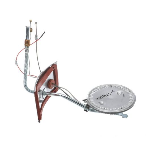 Picture of Rheem AM39922-1 Burner Assy Kit
