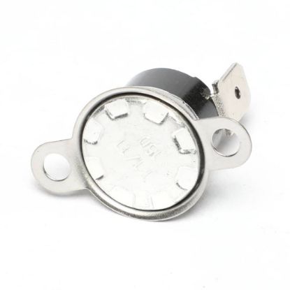 Picture of Rheem RTG20299H Overheat Sensor (Burner)