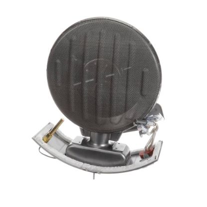 Picture of Rheem SP21098 Burner Assy Kit
