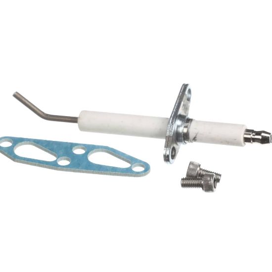 Picture of Rheem SP20794 Ignitor-direct Spark Ignition (Dsi) W/ Gasket & Mounting Screws
