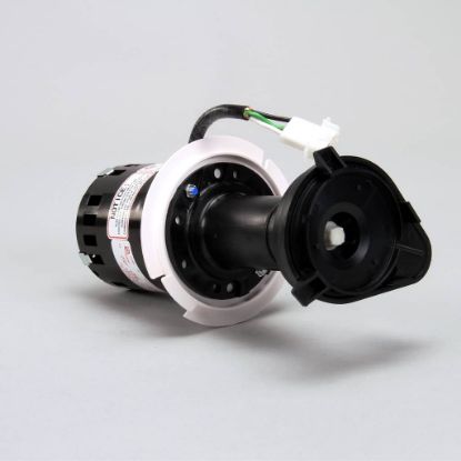 Picture of Scotsman 12-2920-22 Water Pump