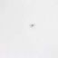 Picture of Samsung 6107-001256 Spring-es
