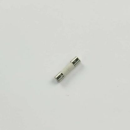 Picture of Samsung BN81-04739A Fuse
