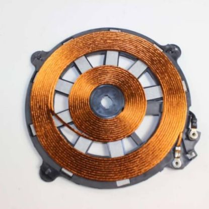 Picture of Samsung DG96-00193B Assembly Working Coil 210