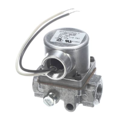 Picture of Southbend Range 1173484 Valve Solenoid 120V/60