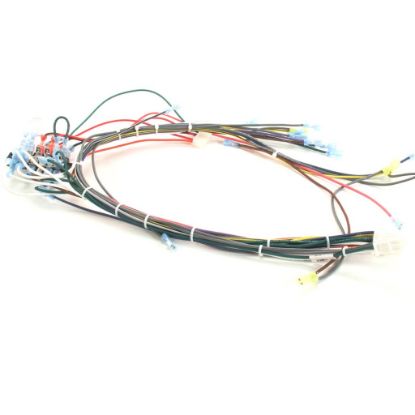 Picture of Southbend Range 1179591 Harness,cntl Wiring,115v/sc/g