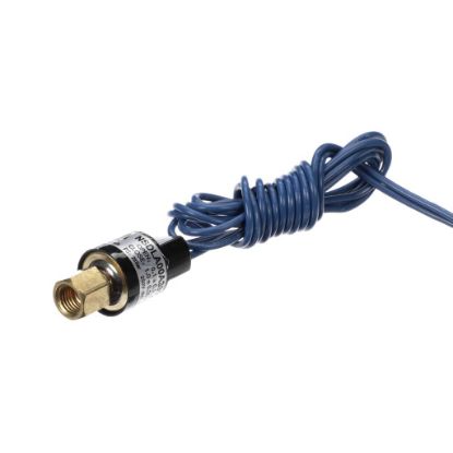 Picture of Southbend Range R30-0106 Pressure Switch