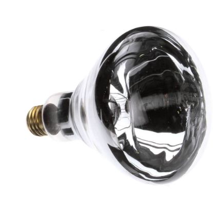 Picture of Star 2S-Y2238 Lamp - Infra-red (White)