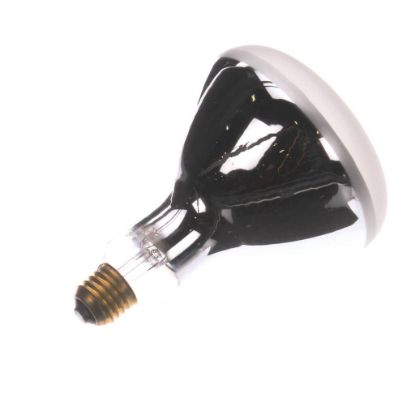 Picture of Star 2S-Y8346 Lamp 150W 240V
