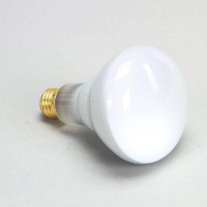 Picture of Star 2S-Y4584 Lamp-75w 120V Reflector Flood