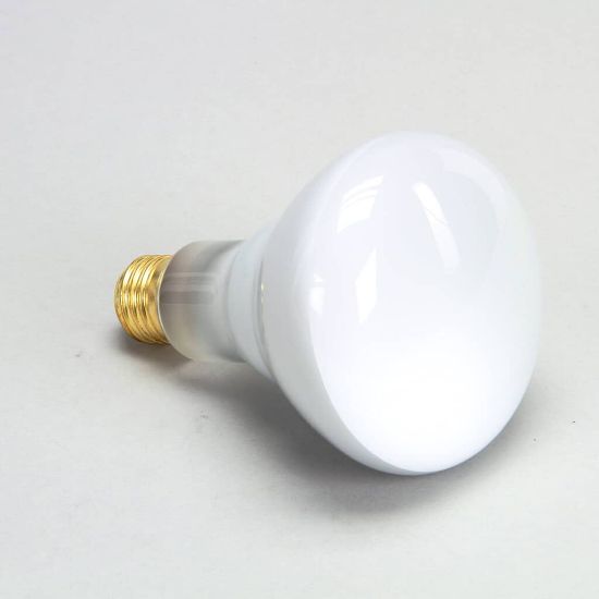 Picture of Star 2S-Y4584 Lamp-75w 120V Reflector Flood