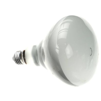 Picture of Star 2S-Y8712 Lamp 150W 230Ce/240v