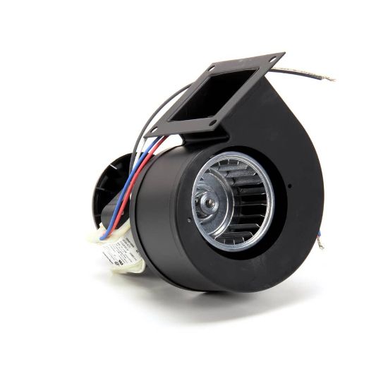 Picture of Star 2U-Z3412 Blower (120V/230v)