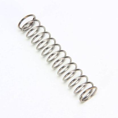 Picture of Silver King 27019 Spring Valve Skmcd1p/c1-skcrm-sknes