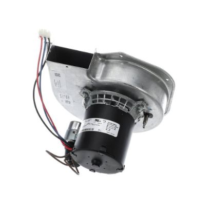 Picture of Trane BLW01376 Blower; Inducer, 208-230/60/1, 3025 Rpm,